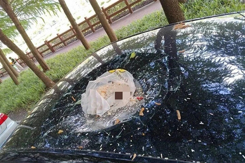 男子为泄愤将垃圾从17楼抛下 砸穿特斯拉Model Y天窗 事后找AI请教脱身