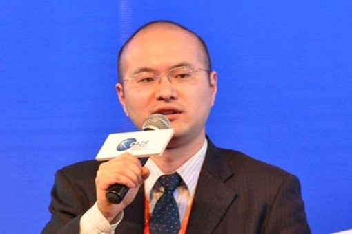 国务院发展研究中心市场经济研究所研究室主任、研究员王青
