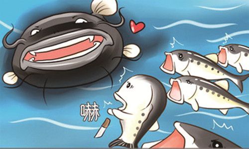 特斯拉的鯰魚(yú)效應(yīng)