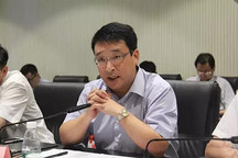 梳理“4+2”大自主板塊，劉衛東詳解東風近期頻繁調整背后的真相